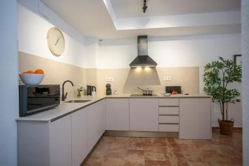 SingularStays Palau de la Musica Lofts photo 19