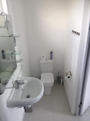 a white bathroom with a toilet and a sink at Ô Bercail du Sud chez Jeannette in Rodrigues Island