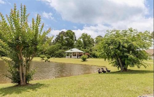 Φωτογραφία από το άλμπουμ του 4 Bedroom Oasis στη Φλωρεντία