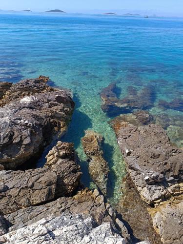 Φυσικό τοπίο κοντά σε αυτός ο ξενώνας