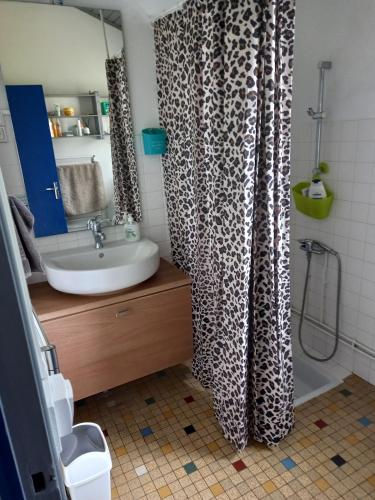 une salle de bain avec un lavabo et un rideau de douche dans l'établissement Charming garden house, à Bias