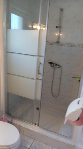 La salle de bains est pourvue d'une douche en verre et de toilettes. dans l'établissement Ty AR MOR, à Kermaria-Sulard