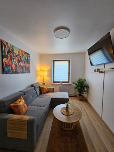 Apartament Radiostacja IX, parking free