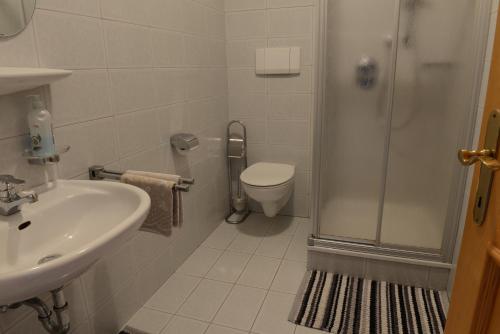a bathroom with a shower and a sink and a toilet at Brunnerhof in Feldthurns