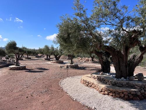Φωτογραφία από το άλμπουμ του Casa Algezar σε Hondón de las Nieves