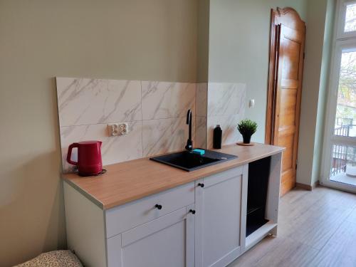 a kitchen with a sink and a counter top at Apartament Centrum Kłodzko - Stara i Piękna Kamienica - ulica Okrzei, Spokój, Parking, 25m2 in Kłodzko
