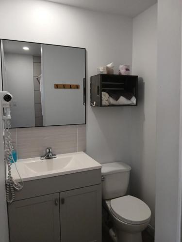 a bathroom with a toilet and a sink and a mirror at Motel Cabano-Relais in Cabano