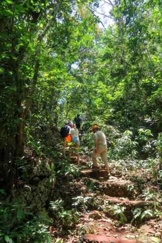 a group of people walking on a trail in the woods at Kibayo Lagoon Villa in Cabarete