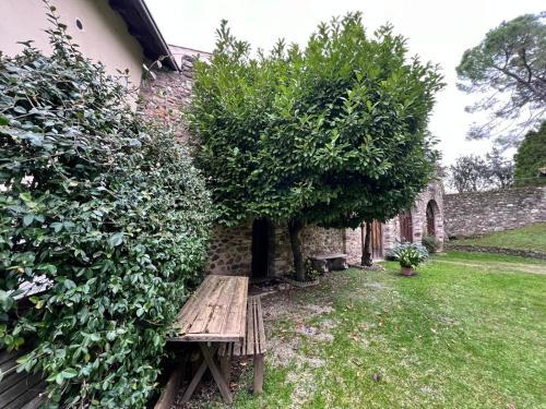 a wooden bench sitting next to a tree in a yard at Dimora al Vecchio Pozzo in Ponti Sul Mincio