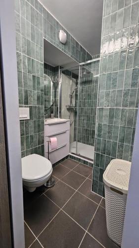 La salle de bains est pourvue de carrelage vert, de toilettes et d'une douche. dans l'établissement Appartement avec terrasse à un pas de la plage, à La Rochelle