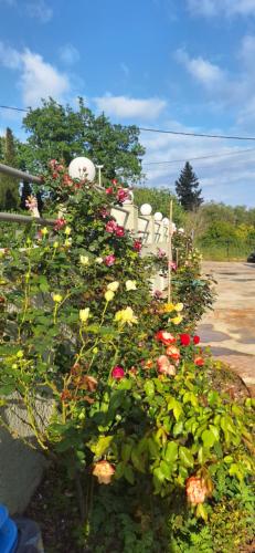 The Flower Gardenにある庭