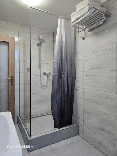 a shower with a glass door in a bathroom at Penzionu Aurelius u Bednářů in Pavlov