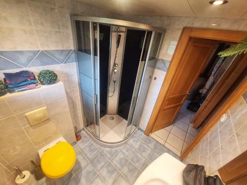 a bathroom with a shower and a toilet in it at Chalet Notre Retraite in Ventron