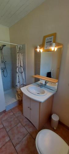 une salle de bain avec un lavabo, des toilettes et une douche dans l'établissement Private 1 bedroom house, à Cahuzac