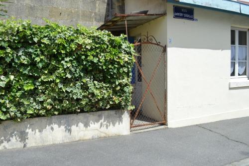 a large green bush next to a white building at Little house with small courtyard in Bordeaux