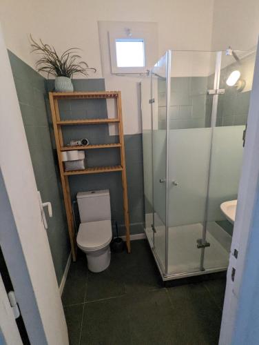 a bathroom with a toilet and a glass shower at Little house with small courtyard in Bordeaux