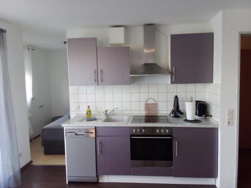 Kuchyň nebo kuchyňský kout v ubytování Apartment Metzingen City