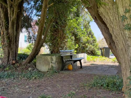 a bench sitting under a tree in a park at Obst- und Ferienhof Lehle in Immenstaad am Bodensee