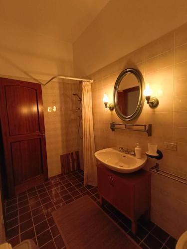a bathroom with a sink and a mirror at Villa Giordani affittacamere Boscoreale in Piandelagotti
