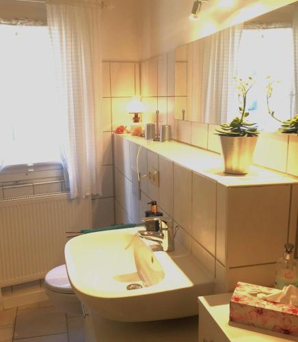 a bathroom with a sink and a toilet at Ferienhäusel am Malerweg mit Terrasse in Bad Schandau