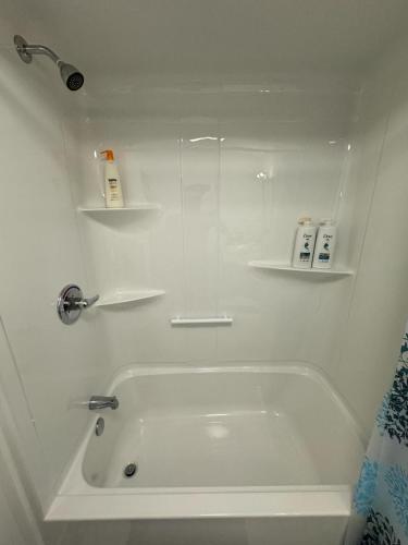 Luxury Suite in Bristol Riverviewにあるバスルーム