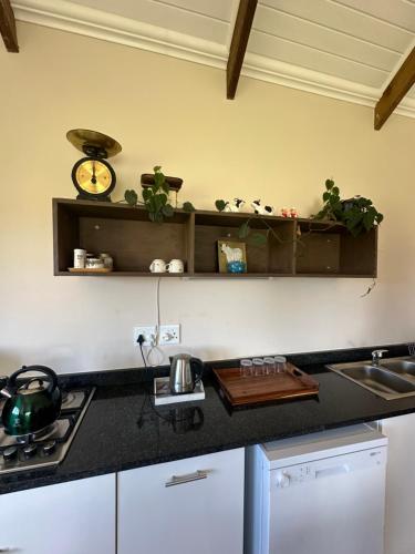 Kuchyň nebo kuchyňský kout v ubytování Nguni Cottage