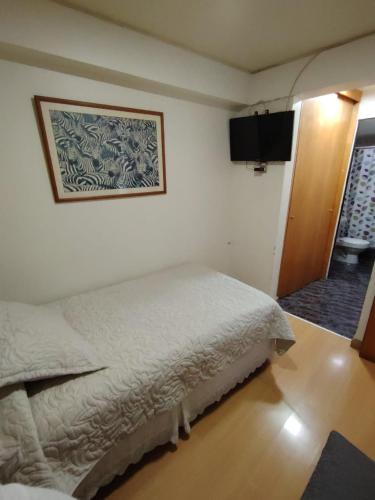 a bedroom with a bed and a picture on the wall at Hotel Cano in Iquique