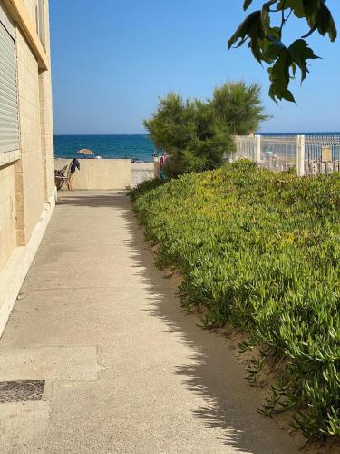 un trottoir à côté d'une plage donnant sur l'océan dans l'établissement Charmant studio bord de mer! Clim, à Palavas-les-Flots