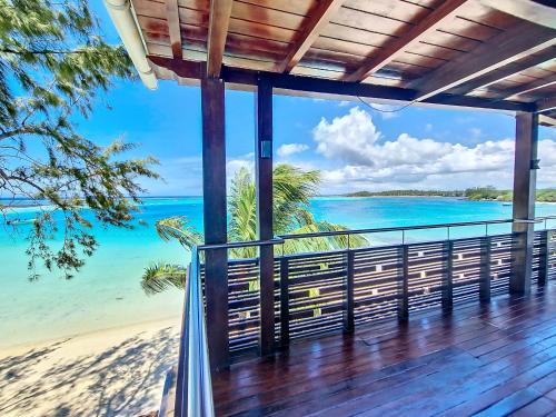 BLUE REEF Blue Bay by Dodo et Croissant