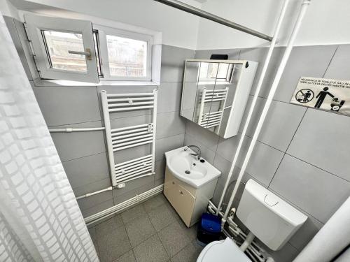 a small bathroom with a toilet and a sink at Urban LowCost in Văleni
