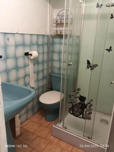 une salle de bain avec toilettes et douche en verre dans l'établissement Appartement charmant à Le Vigan avec terrasse, au Vigan