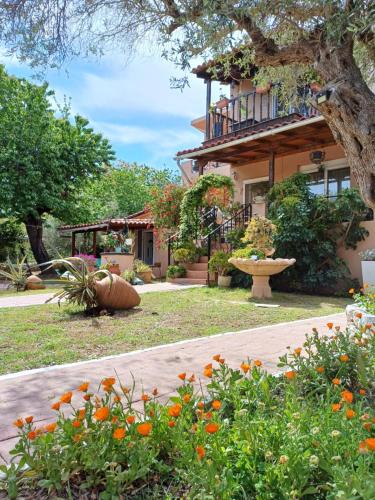 Daisy rooms Skiathos