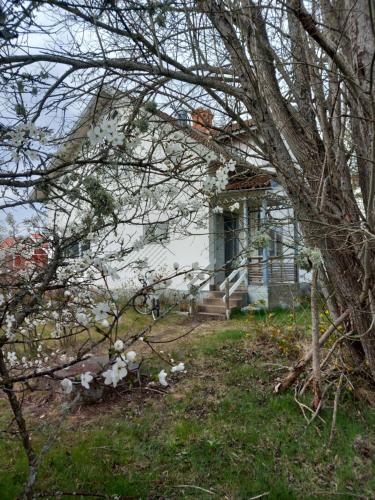Κήπος έξω από το Ferienhaus in Seenähe mit Boot