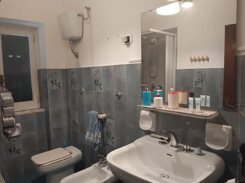 a bathroom with a sink and a toilet and a mirror at La capannina cilento cam 12 in San Marco di Castellabate
