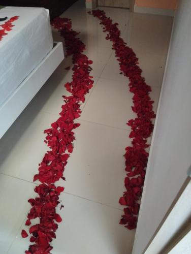 a bunch of red roses on the floor next to a cake at Bajo la luna hotel in Medellín