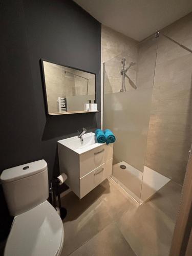 une salle de bain avec toilettes, lavabo et douche dans l'établissement Appartement rénové au cœur du centre historique de Béziers, à Béziers