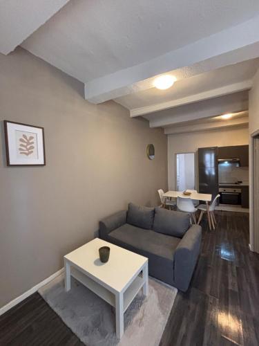 Appartement rénové au cœur du centre historique de Béziers