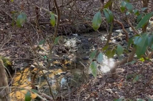 Φυσικό τοπίο κοντά σε αυτή η παραθεριστική κατοικία