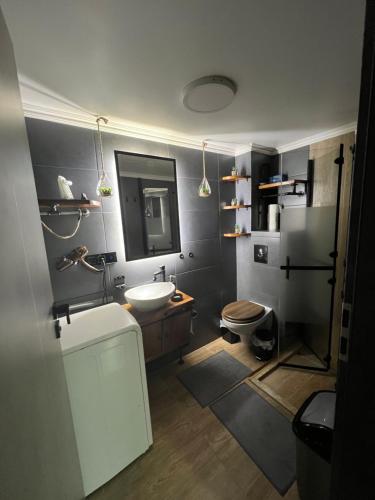 a bathroom with a sink and a toilet at Tody central apartament in Bistriţa