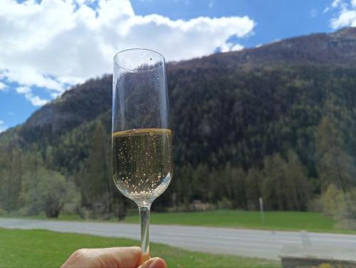 a person holding a glass of wine in front of a mountain at Le chemin des étoiles in Evolène
