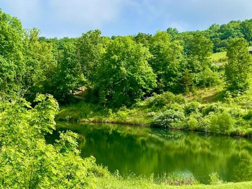 a view of a river with trees and a forest at Lilypad - by The Chalets in Logan
