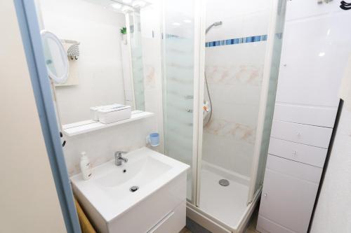 une salle de bain avec douche et lavabo dans l'établissement Maison fleurie quartier calme st Cyprien, à Saint-Cyprien