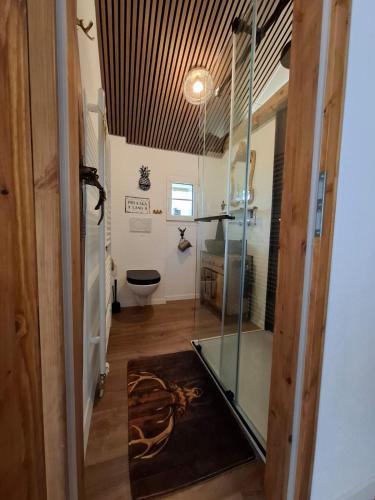 a bathroom with a glass shower and a toilet at Bijou Hollandia in Engelberg