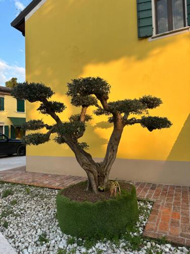Fotografie z fotogalerie ubytování Agriturismo Corte Capiluppia v destinaci Curtatone