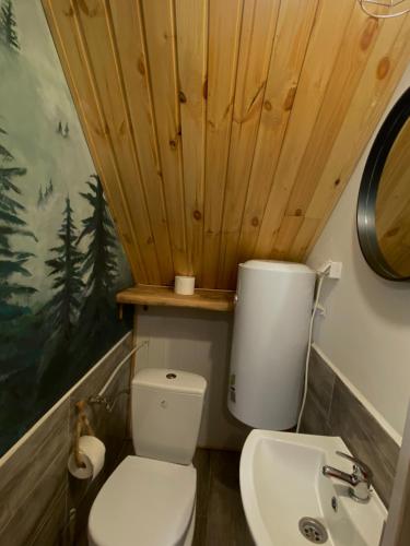 a bathroom with a toilet and a sink at Agroturystyka Raj i Eden"Pod rzeźbami" in Krynki