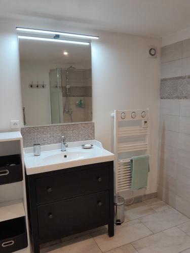 une salle de bain avec un lavabo et un miroir dans l'établissement Sous le tilleul, à Montfaucon