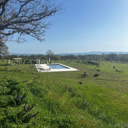 Πισίνα στο ή κοντά στο Podere l'Alfina B&B - Bio Agriturismo
