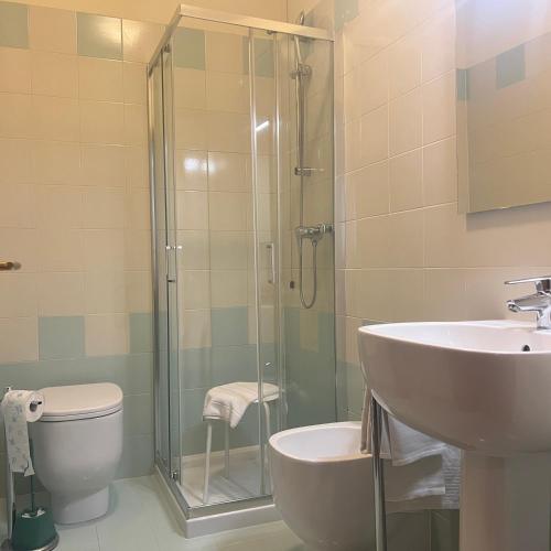 a bathroom with a shower and a toilet and a sink at Ristorante Albergo Wada in Malo