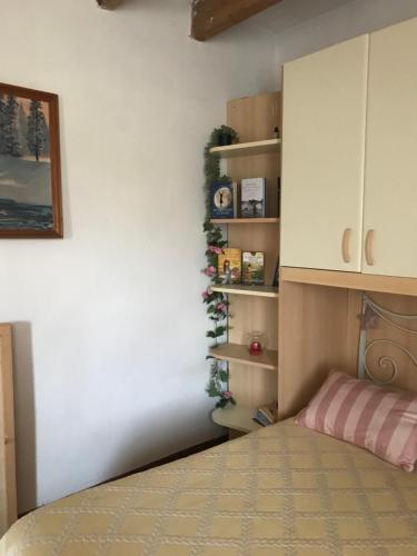 a bedroom with a bed and a book shelf at Old school Bacedasco B&B in Vernasca