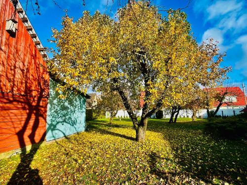 a tree with yellow leaves next to a building at Villa Blue Heaven Pärnu in Pärnu